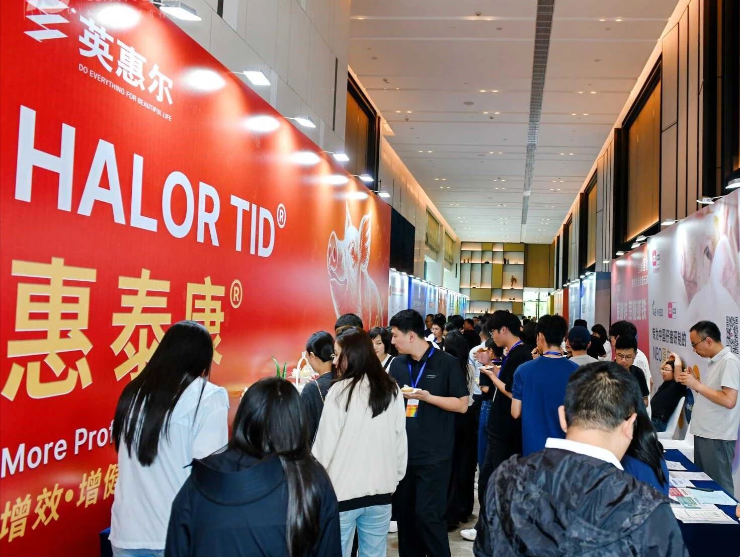 2.jpg 2.jpg