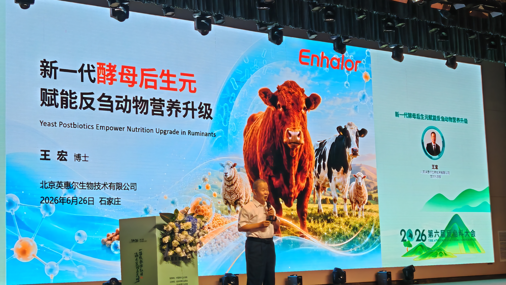 ckt批处理_2026-06-26+22-07_00.png